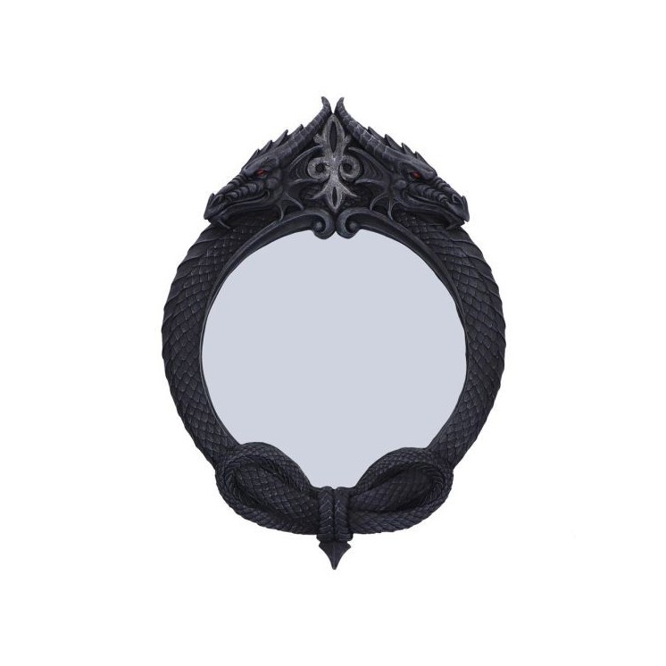 The Reflector Dragon