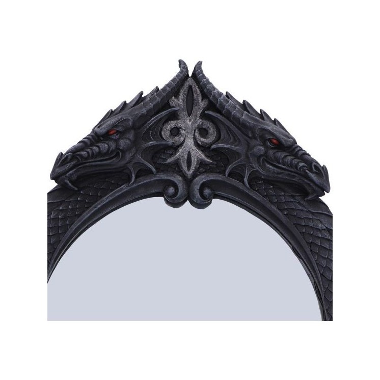 The Reflector Dragon