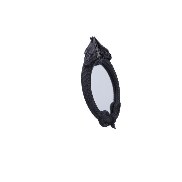 The Reflector Dragon