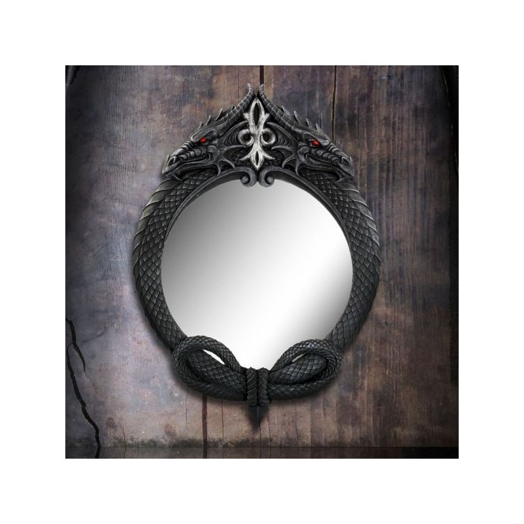 The Reflector Dragon