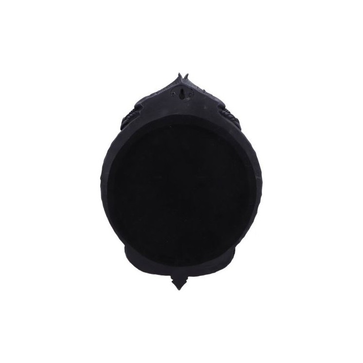 The Reflector Dragon