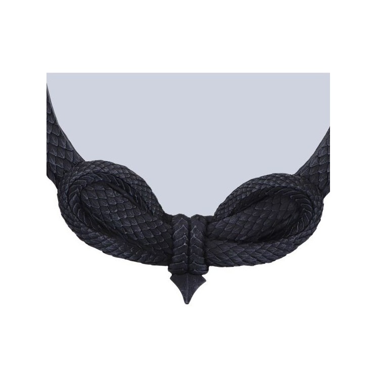 The Reflector Dragon